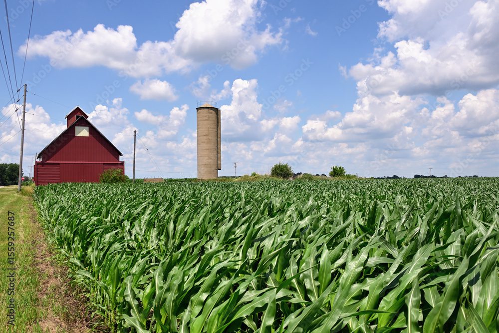 Central Market Overview | Featuring Add Owen, Regional Vice President of Sales, Central Region